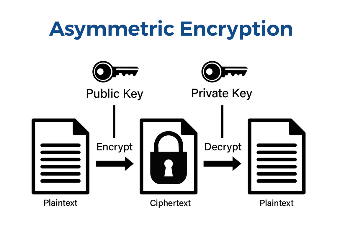 What is TLS? Your Guide to Transport Layer Security